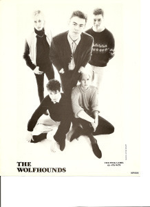 Wolfhounds