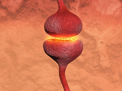 Feel energized! brain chemistry and exercise