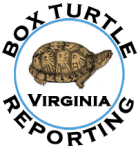 Box Turtle Reporting Virginia