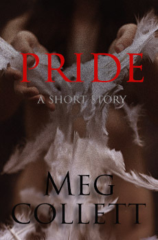 wattpad cover pride