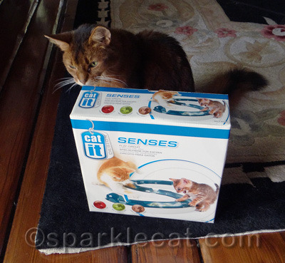 Yay! Toy testing day!