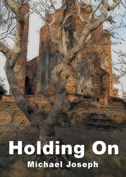 gay fiction by Michael Joseph