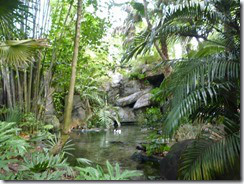 Animal Kingdom1