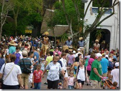 Animal Kingdom6