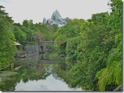 Animal Kingdom5