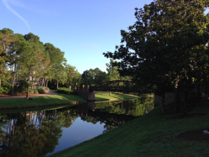 Riverside1