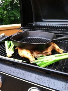 chicken andl eeks on the grill