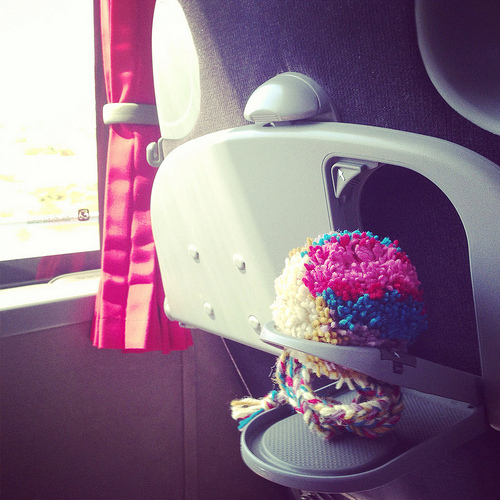 pompom