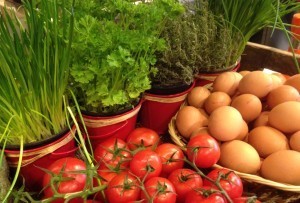 The Ingredients are always fresh at Omelegg!