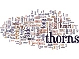 Wordle: A Crackling of Thorns: a broken fairy tale
