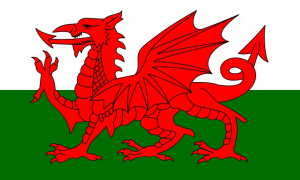 St. David's Day, Soul Asylum