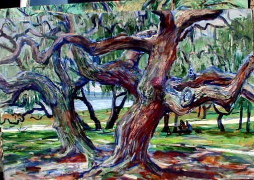 Oaks with moss:ac