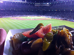 Chicago dog in Wrigley Field