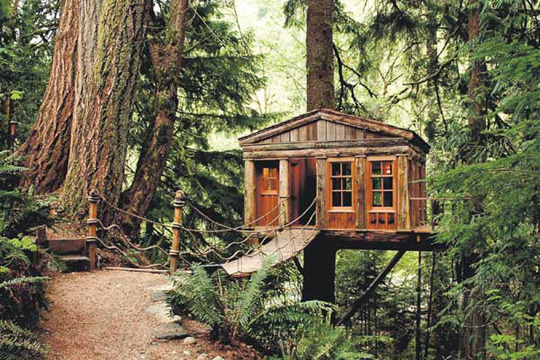 treehouse