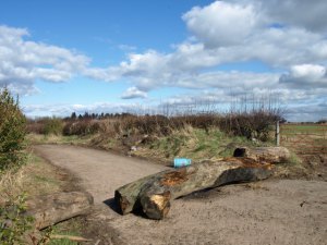 Road_Block,_Ardeer_-_geograph_org_uk_-_726967