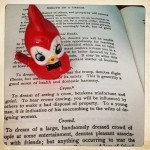 this cardinal crows