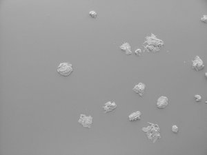 public_toilet_ceiling