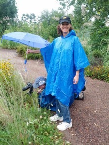 Harold in the rain