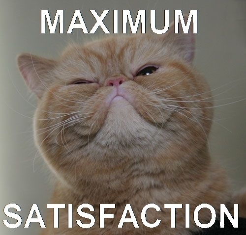 photo maximum-satisfaction-cat-.jpg