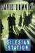 Silesian Station by David Downing