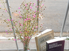 Jane Austen & Flores