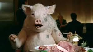 Piggie Eating