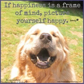 hapkenIMG 2968 290x290 Woofisms: Woofs of Wisdom© funny dog blog