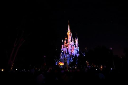 Celebrate the Magic View from Wishes FastPass+ Parade Viewing Area