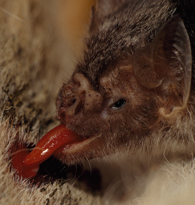 Photo by Bruce Dale/National Geographic