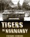 Tigers in Normandy by Wolfgang Schneider