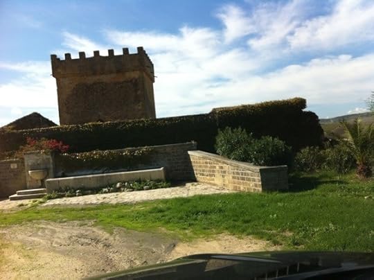 20121106-083034.jpg
