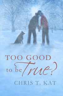 TooGoodToBeTrue2