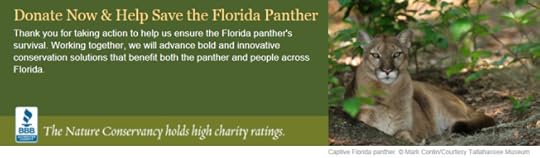 helppantherbanner