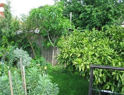 clip_image001