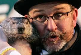 Real Groundhog Picture