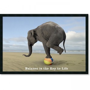 balance elephant