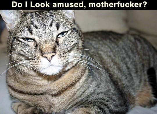 Dax-Meme