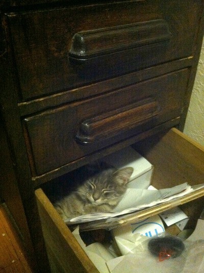 tumblr_mavd3saPuy1r3oaloo1_400