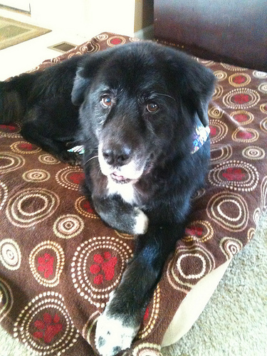 Dakota, post-haircut