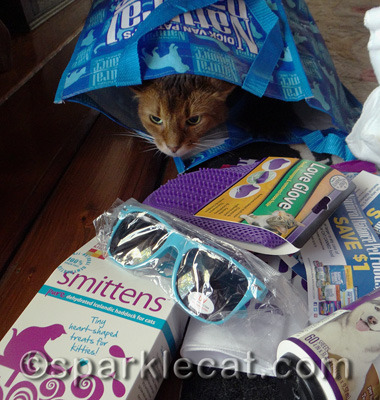 I think the bag is the best part!