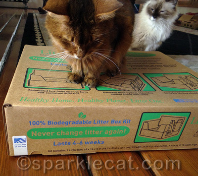 She SAID she was into the biodegradable part, but I bet she was MORE into never changing litter again