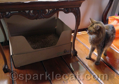 I am not sure about the feng shui