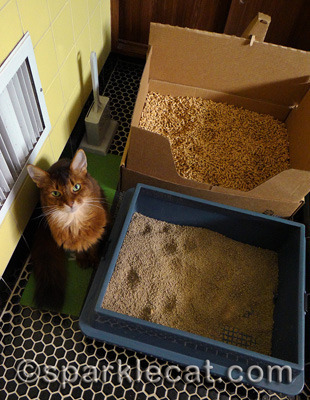 Yes, she tried to put me in there.