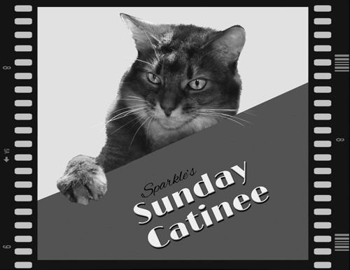 Sparkle's Sunday Catinee
