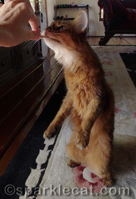 I'm not called Long Kitty for nothin'!