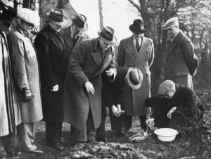 impression-evidence-4