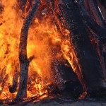 Bonfire