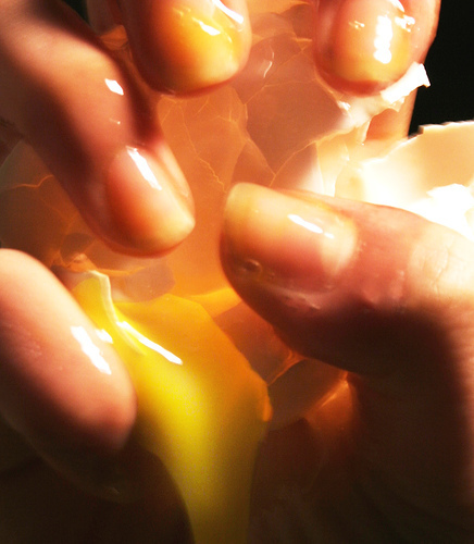 Egg by Kelly Hau Photography via Flickr
