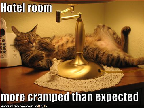 cramped hotel room as exemplified by squished cat