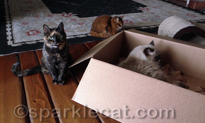 We are very disappointed in her!